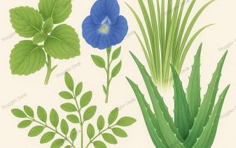 Medicinal Plants for Garden 